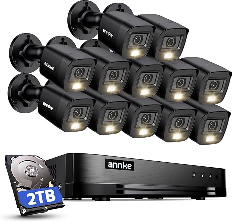 ANNKE 16 Channel Security Camera System, 12Pcs 2MP Outdoor Cameras, 2TB HDD | 16CH 5-in-1 1080P Lite Video DVR, Smart Dual Light, AI Human/Vehicle Detection, Color Night Vision, Digital WDR, IP67 Outdoor