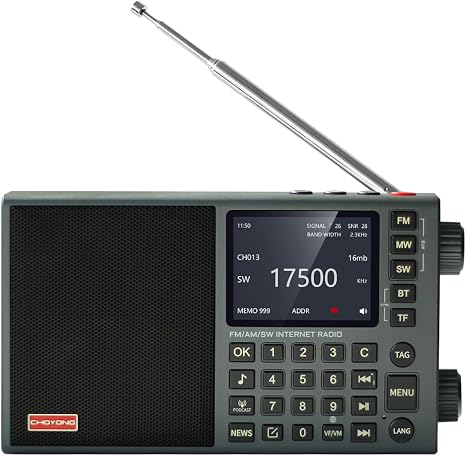 CHOYONG LC90 Mini Multi-Band Smart Internet Radio Portable AM/FM/SW/MW