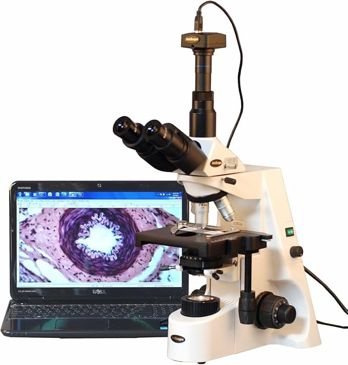 AmScope T690C-PL-10M Digital Trinocular Compound Microscope, 40X-2500X Magnification, WH10x and WH25x Super-Widefield Eyepieces, Infinity Plan Achromatic Objectives, Brightfield, Kohler Condenser, Double-Layer Mechanical Stage, Includes 10MP Camera with R