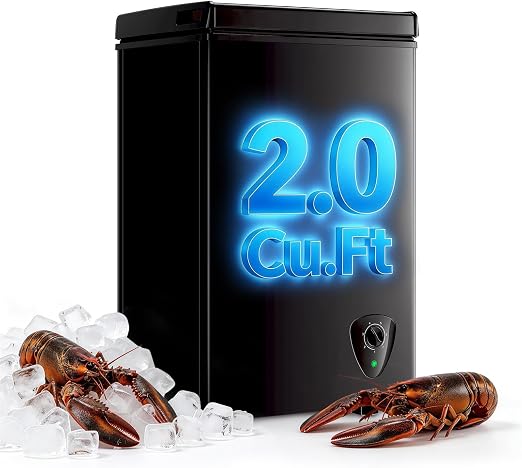 2.0 Cu.Ft Mini Deep Freezer Small Freezer with 7 Temp Black for Dorm